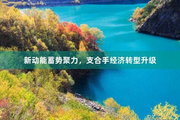 新动能蓄势聚力，支合手经济转型升级
