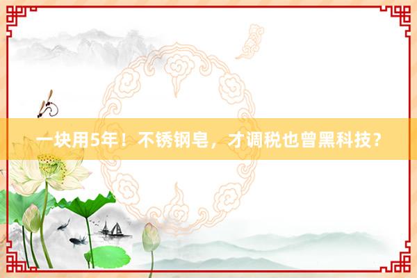一块用5年！不锈钢皂，才调税也曾黑科技？