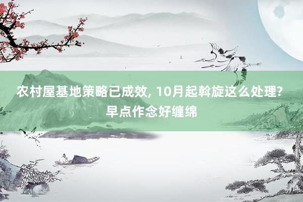 农村屋基地策略已成效, 10月起斡旋这么处理? 早点作念好缠绵