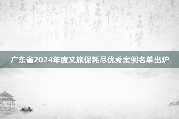 广东省2024年度文旅促耗尽优秀案例名单出炉