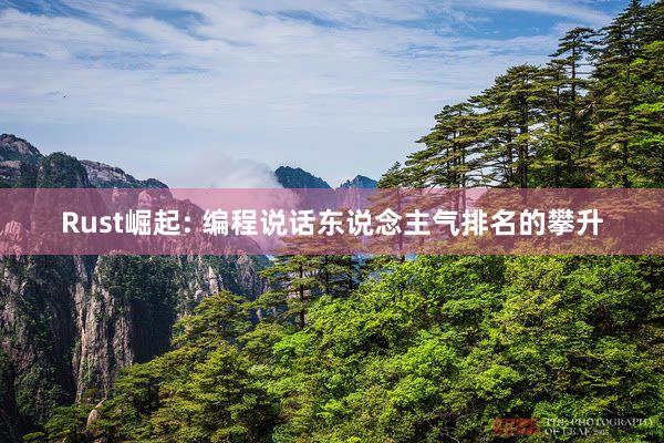 Rust崛起: 编程说话东说念主气排名的攀升