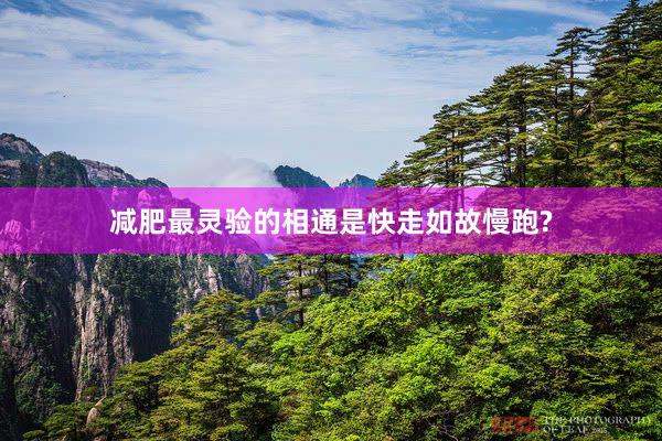 减肥最灵验的相通是快走如故慢跑?